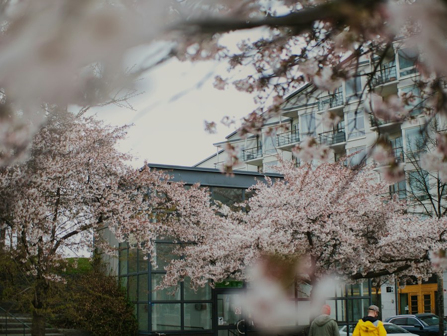 駅の出口を出たあとの、淡い桜と建物が見える街並み