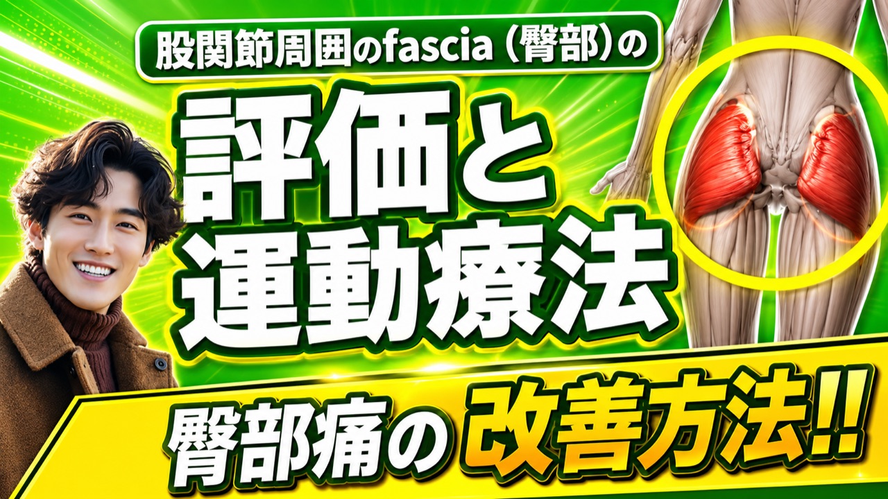 臀部痛の評価と運動療法｜医療・セラピスト向け解説